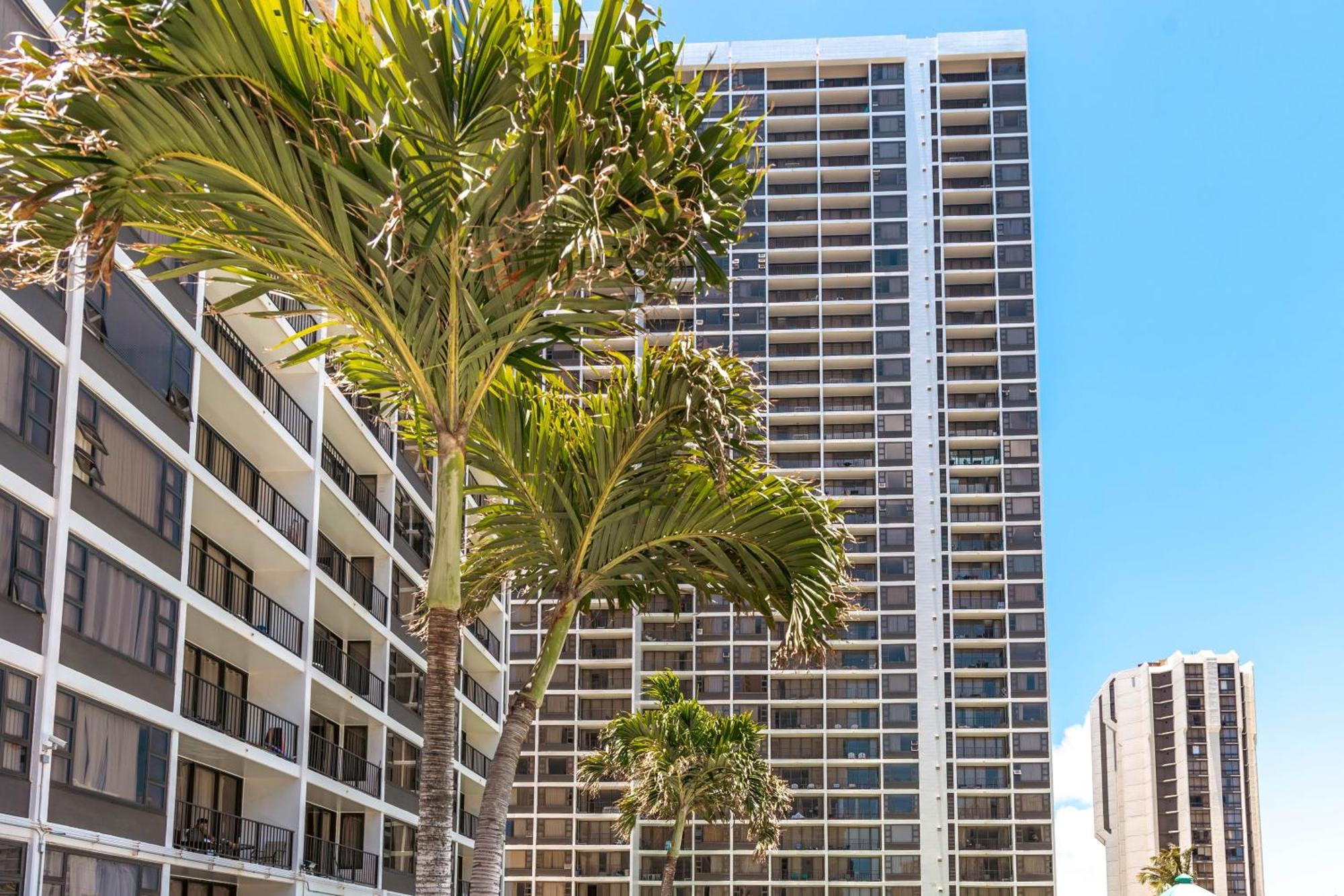 הונולולו Renovated Ocean View Suite, Near Beach, Free Parking מראה חיצוני תמונה